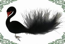 vánoční ozdoba labuť černý flok, 2ks