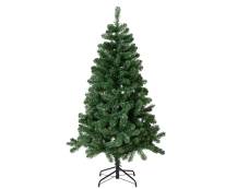 Vánoční strom jedle Greenwood 150cm